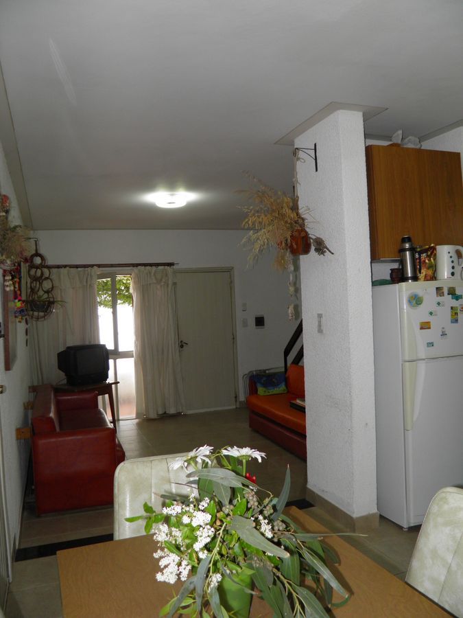 PB250455.JPG