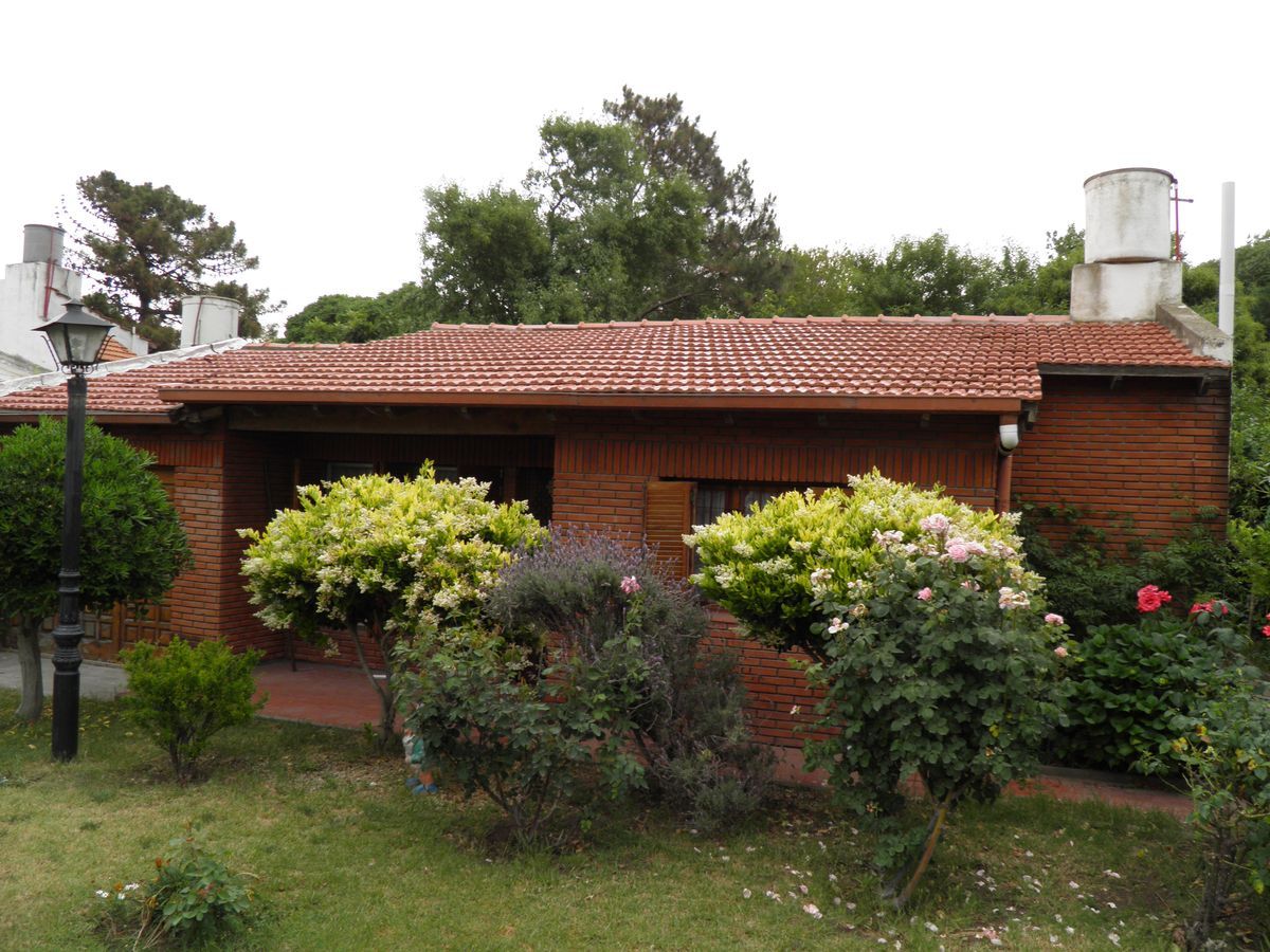 PB240047.JPG