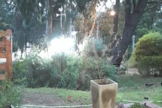 magic_h.monte.hermoso.80.jpg